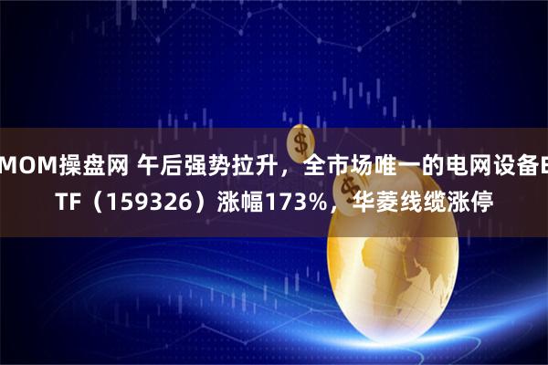 MOM操盘网 午后强势拉升，全市场唯一的电网设备ETF（159326）涨幅173%，华菱线缆涨停
